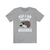 Just A Boy Who Loves Hedgehogs Shirt, Hedgehog Lover Shirt, Hedgehog Shirt, Hedgehog Lover Gift,  Adult Toddler Infant Kids Gift T-Shirt Image 1