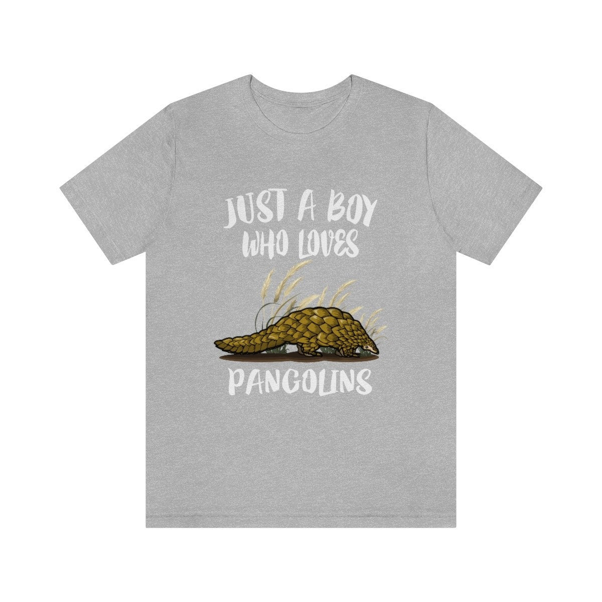 Just A Boy Who Loves Pangolins Shirt,  Pangolin Lover Shirt,  Pangolin Shirt,  Pangolin Lover Gift, Animal Adult Kids T-Shirt Image 1