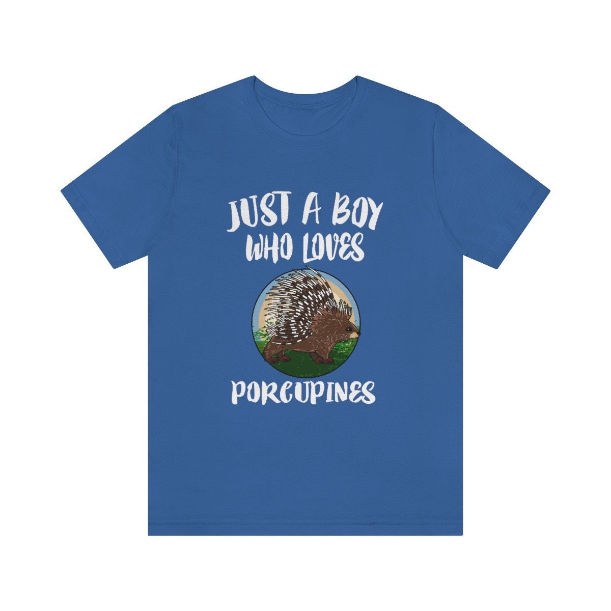 Just A Boy Who Loves Porcupines Shirt, Porcupine Lover Shirt, Porcupine Shirt, Porcupine Gift, Animal Adult Kids T-Shirt Image 1