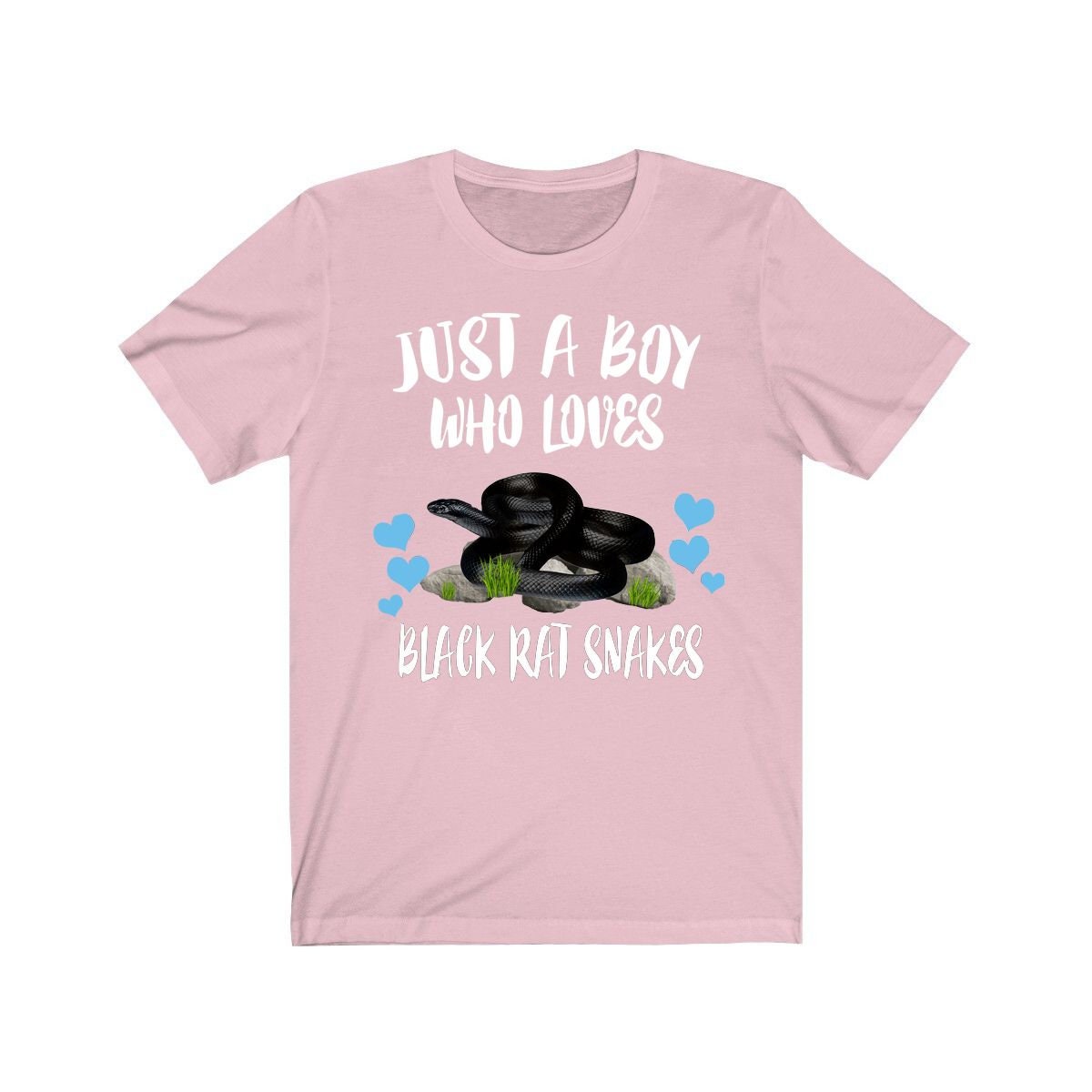 Just A Boy Who Loves Black Rat Snakes Shirt, Snake Lover Shirt, Snake Shirt, Snake Lover Gift, Animal Adult Toddler Kids T-Shirt Image 4