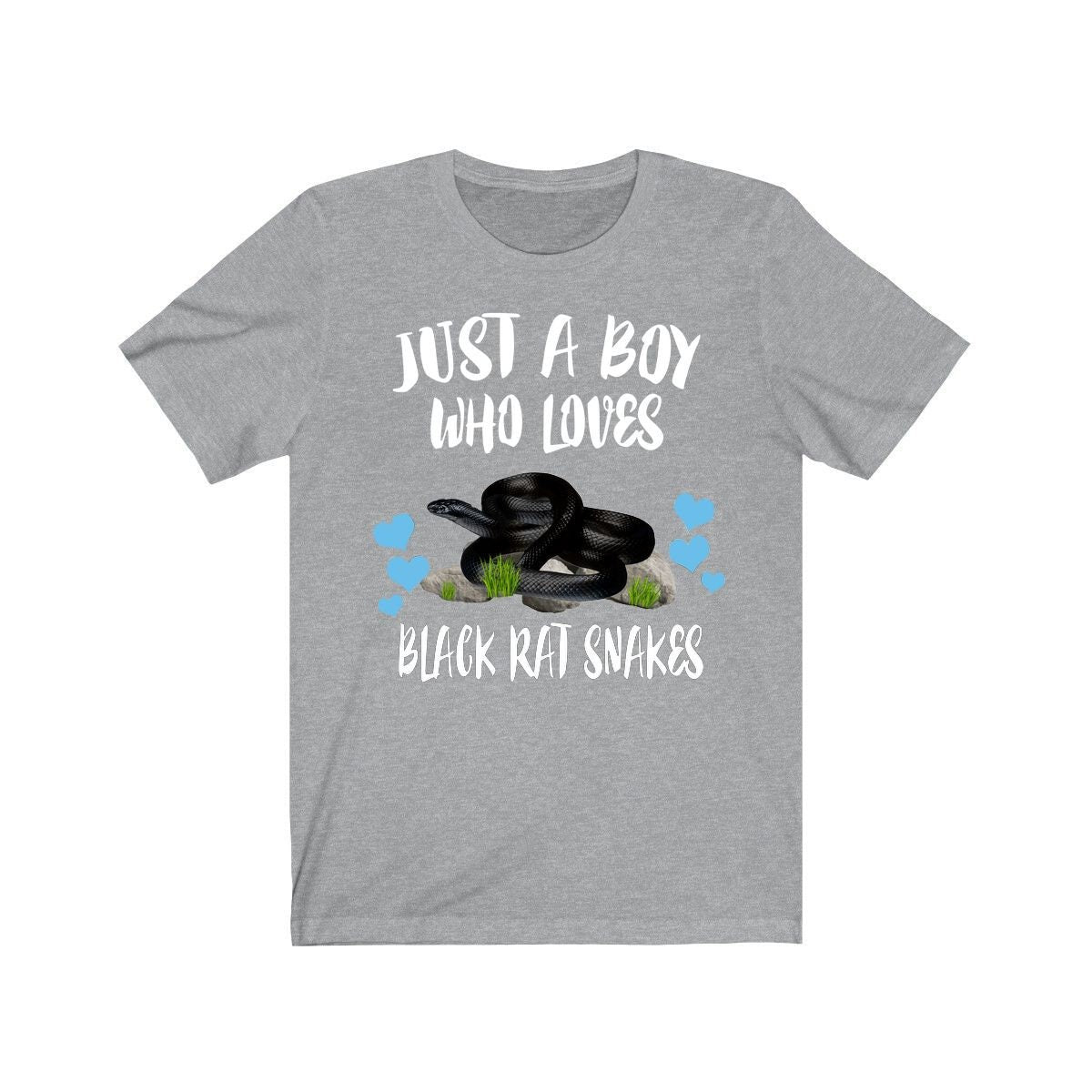 Just A Boy Who Loves Black Rat Snakes Shirt, Snake Lover Shirt, Snake Shirt, Snake Lover Gift, Animal Adult Toddler Kids T-Shirt Image 1