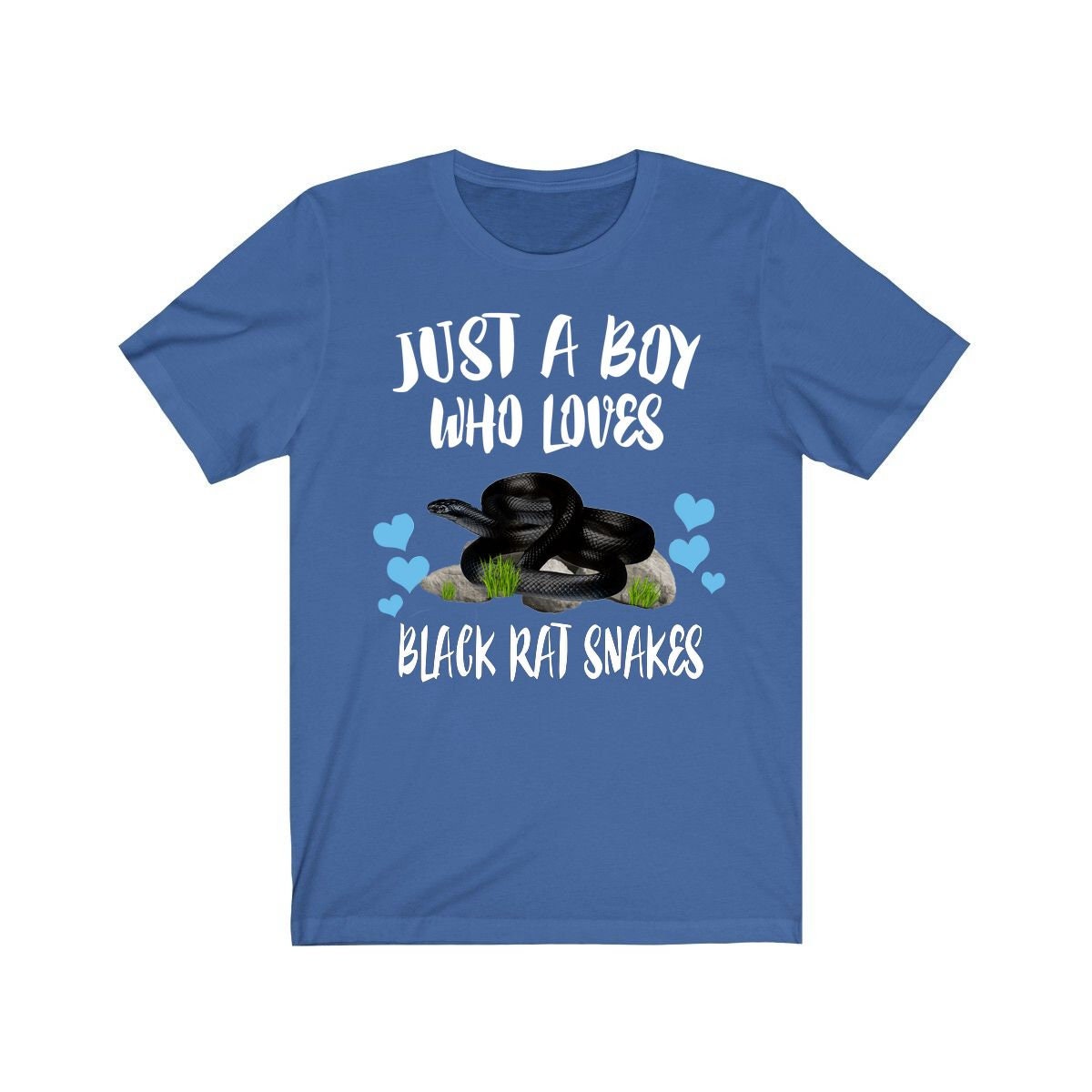 Just A Boy Who Loves Black Rat Snakes Shirt, Snake Lover Shirt, Snake Shirt, Snake Lover Gift, Animal Adult Toddler Kids T-Shirt Image 2