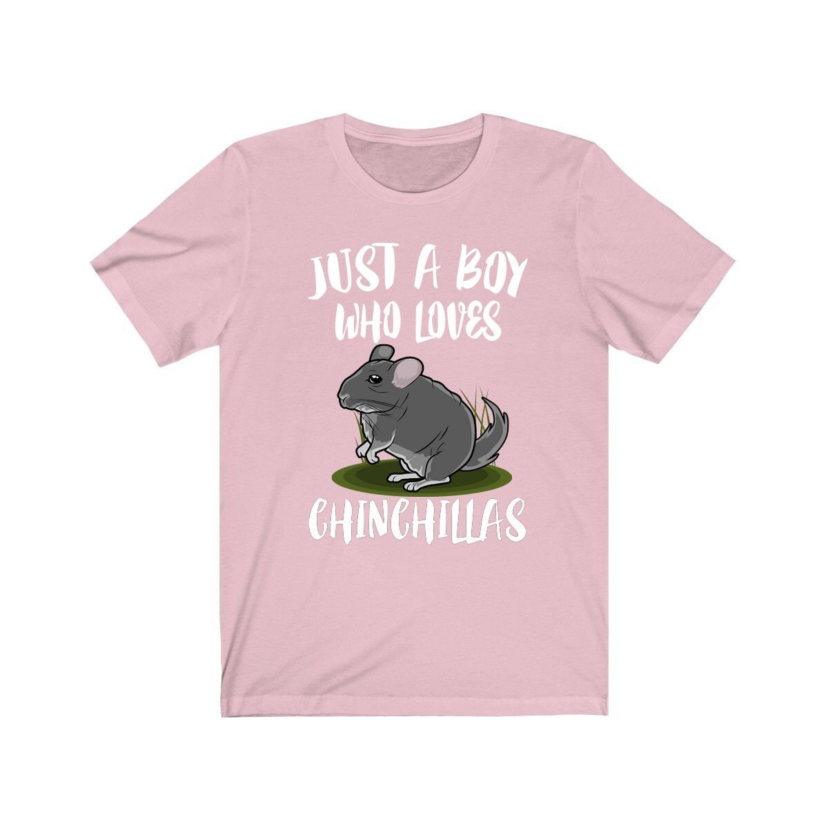 Just A Boy Who Loves Chinchillas Shirt, Chinchilla Lover Shirt, Chinchilla Shirt, Chinchilla Lover Gift, Animal Adult Kids T-Shirt Image 4