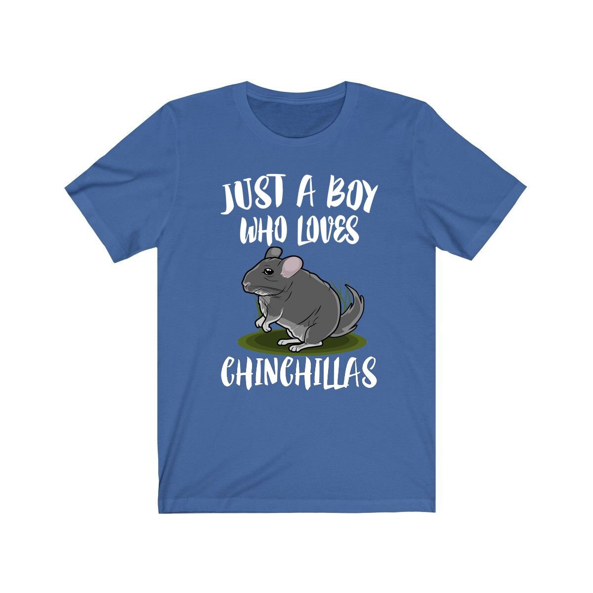 Just A Boy Who Loves Chinchillas Shirt, Chinchilla Lover Shirt, Chinchilla Shirt, Chinchilla Lover Gift, Animal Adult Kids T-Shirt Image 3