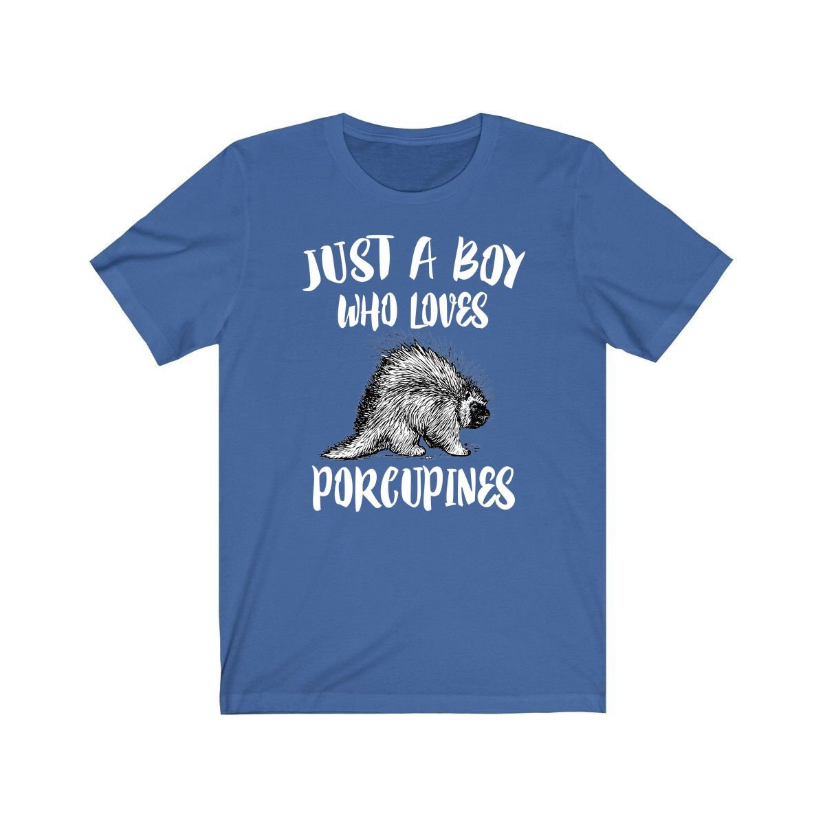 Just A Boy Who Loves Porcupines Shirt, Porcupine Lover Shirt, Porcupine Shirt, Porcupine Lover Gift, Animal Adult Kids T-Shirt Image 1