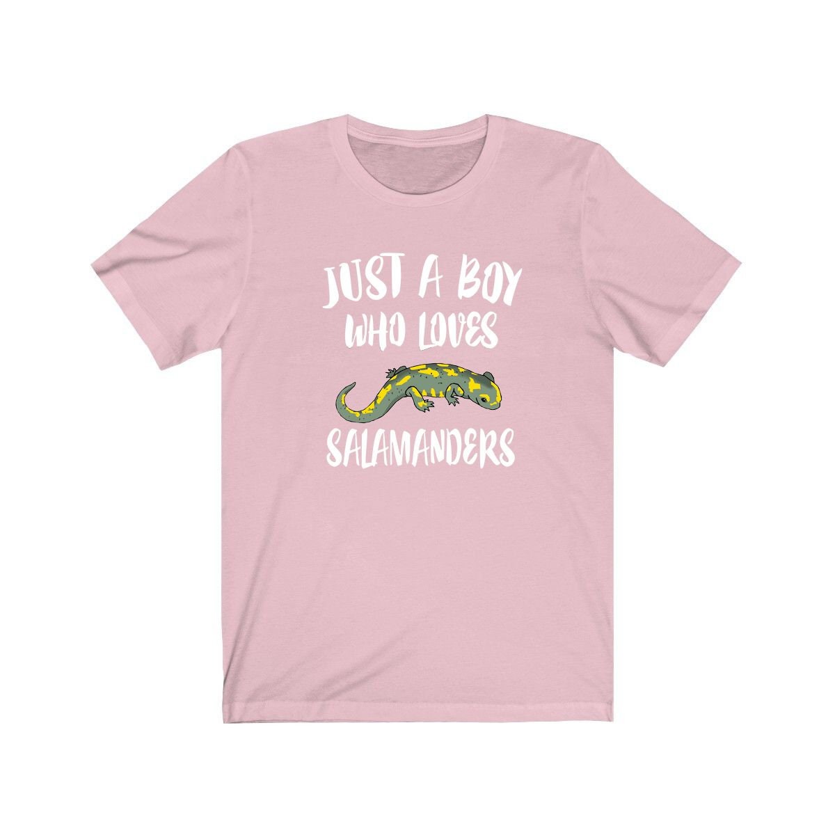 Just A Boy Who Loves Salamanders Lizards Shirt, Salamander Lover Shirt, Lizard Shirt, Salamander Lover Gift, Animal Adult Kids T-Shirt Image 4