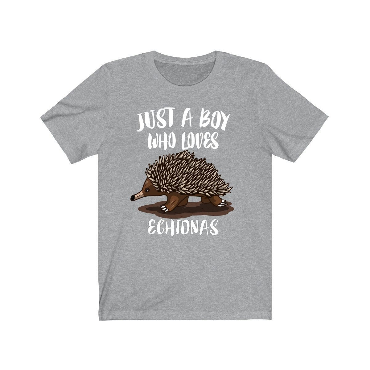 Just A Boy Who Loves Echidnas Shirt, Echidna Lover Shirt, Echidna Shirt, Echidna Gift, Animal Adult Kids T-Shirt Image 1