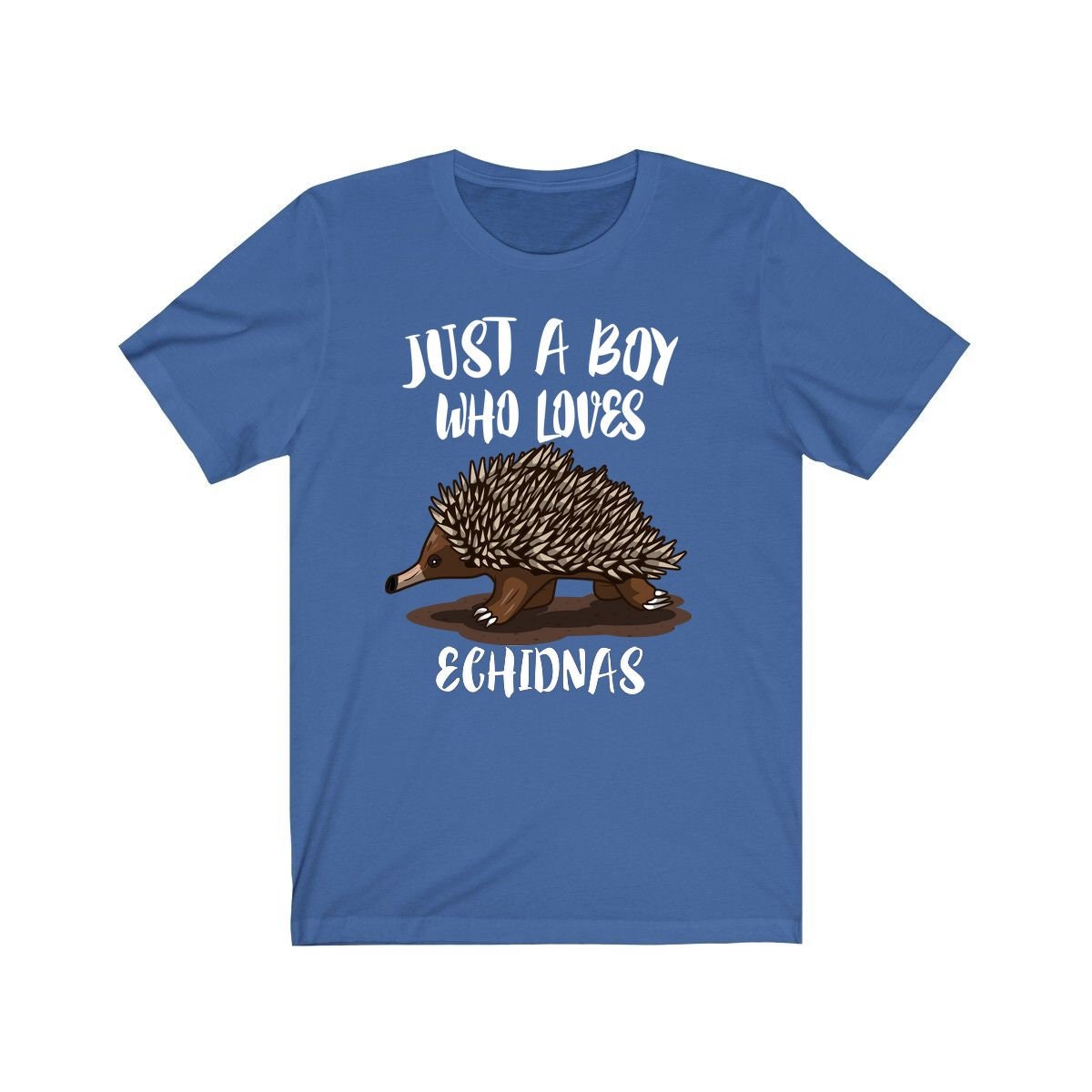 Just A Boy Who Loves Echidnas Shirt, Echidna Lover Shirt, Echidna Shirt, Echidna Gift, Animal Adult Kids T-Shirt Image 2