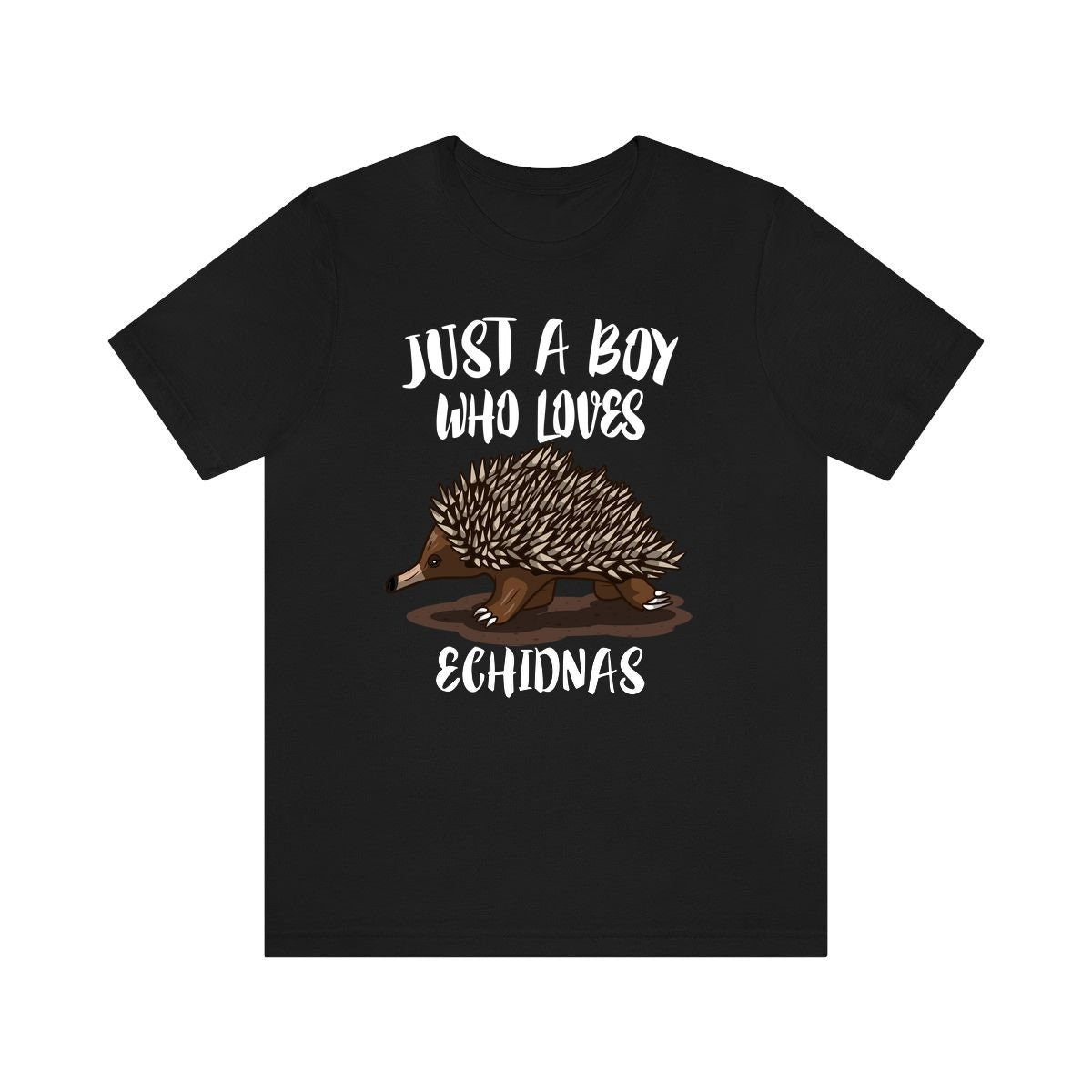 Just A Boy Who Loves Echidnas Shirt, Echidna Lover Shirt, Echidna Shirt, Echidna Gift, Animal Adult Kids T-Shirt Image 3