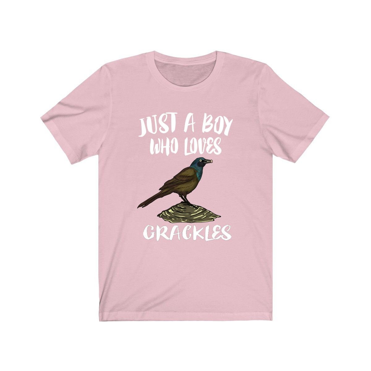 Just A Boy Who Loves Grackles Bird Shirt, Grackle Lover Shirt, Birding Shirt, Bird Gift, Animal Adult Kids T-Shirt Image 4