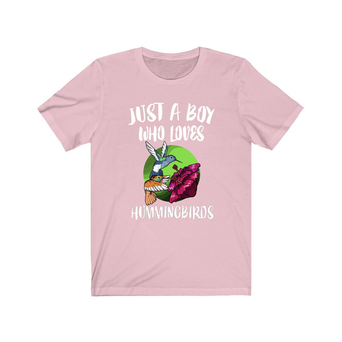 Just A Boy Who Loves Hummingbirds Shirt, Hummingbird Lover Shirt, Birding Shirt, Bird Lover Gift, Animal Adult Kids T-Shirt Image 4