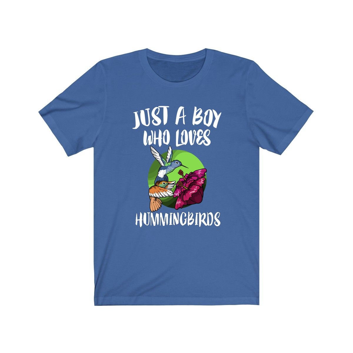 Just A Boy Who Loves Hummingbirds Shirt, Hummingbird Lover Shirt, Birding Shirt, Bird Lover Gift, Animal Adult Kids T-Shirt Image 3