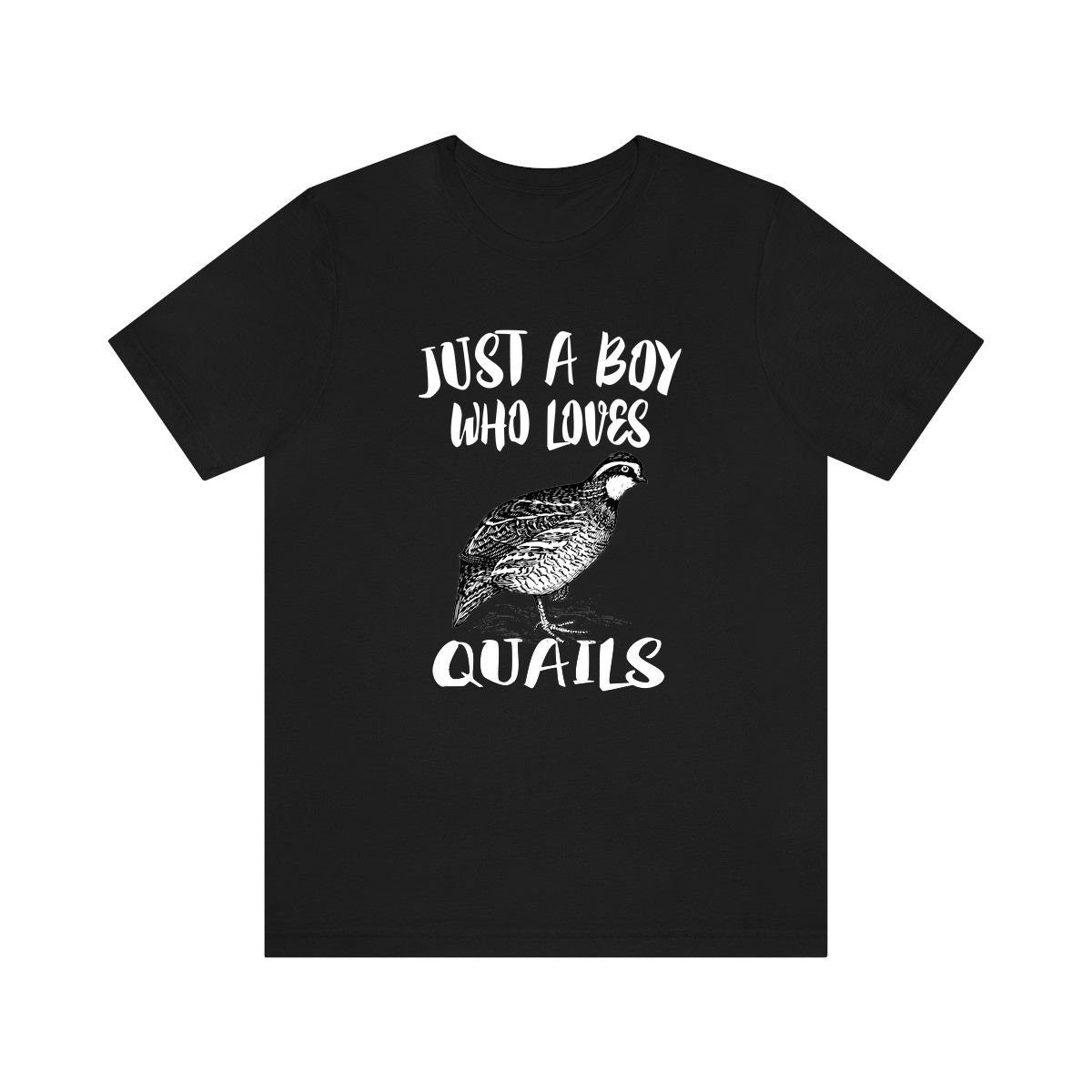 Just A Boy Who Loves Quails Shirt, Quail Lover Shirt, Birding Shirt, Bird Lover Gift, Animal Adult Kids T-Shirt Image 2