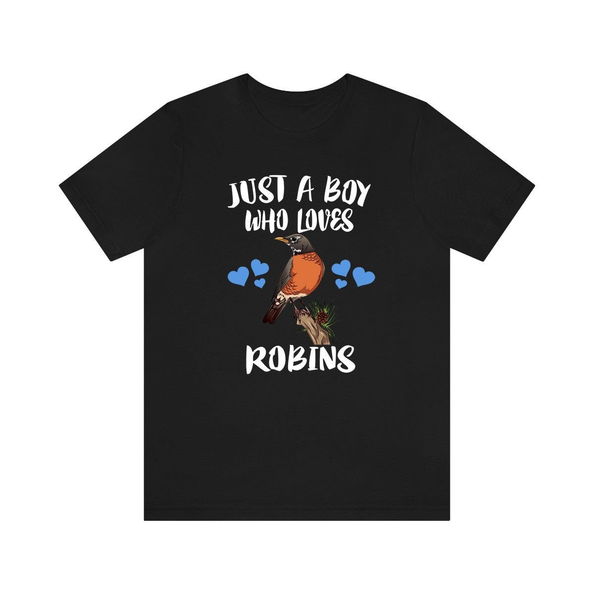 Just A Boy Who Loves Robins Birds Shirt, Robin Lover Shirt, Birding Shirt, Bird Lover Gift, Animal Adult Kids T-Shirt Image 1