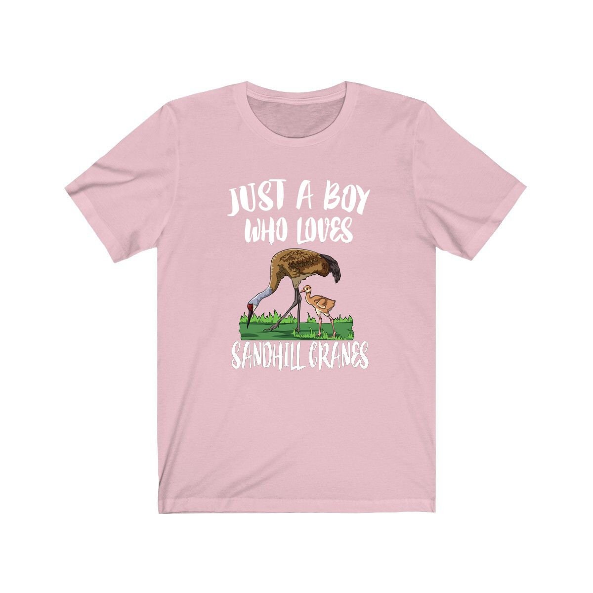 Just A Boy Who Loves Sandhill Cranes Shirt, Sandhill Crane Lover Shirt, Crane Shirt, Bird Lover Gift, Animal Adult Kids T-Shirt Image 4