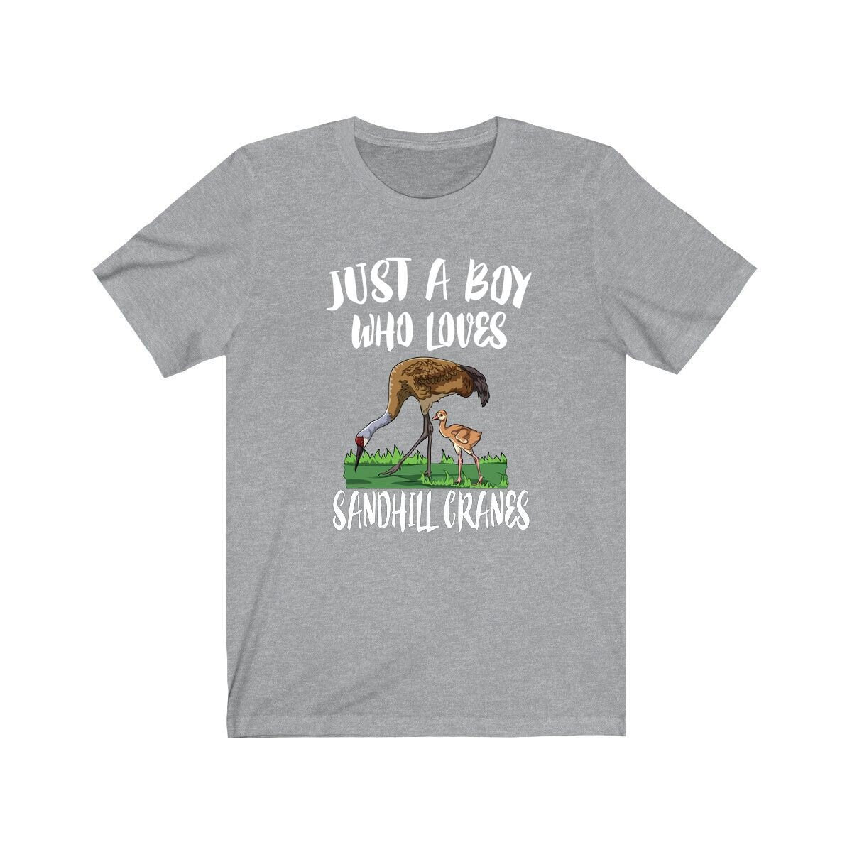 Just A Boy Who Loves Sandhill Cranes Shirt, Sandhill Crane Lover Shirt, Crane Shirt, Bird Lover Gift, Animal Adult Kids T-Shirt Image 2