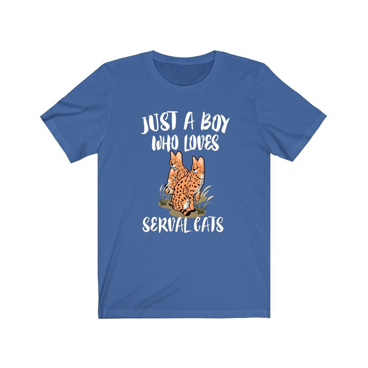 Just A Boy Who Loves Serval Cats Shirt, Serval Lover Shirt, Serval Shirt, Cat Lover Gift, Animal Adult Kids T-Shirt Image 3