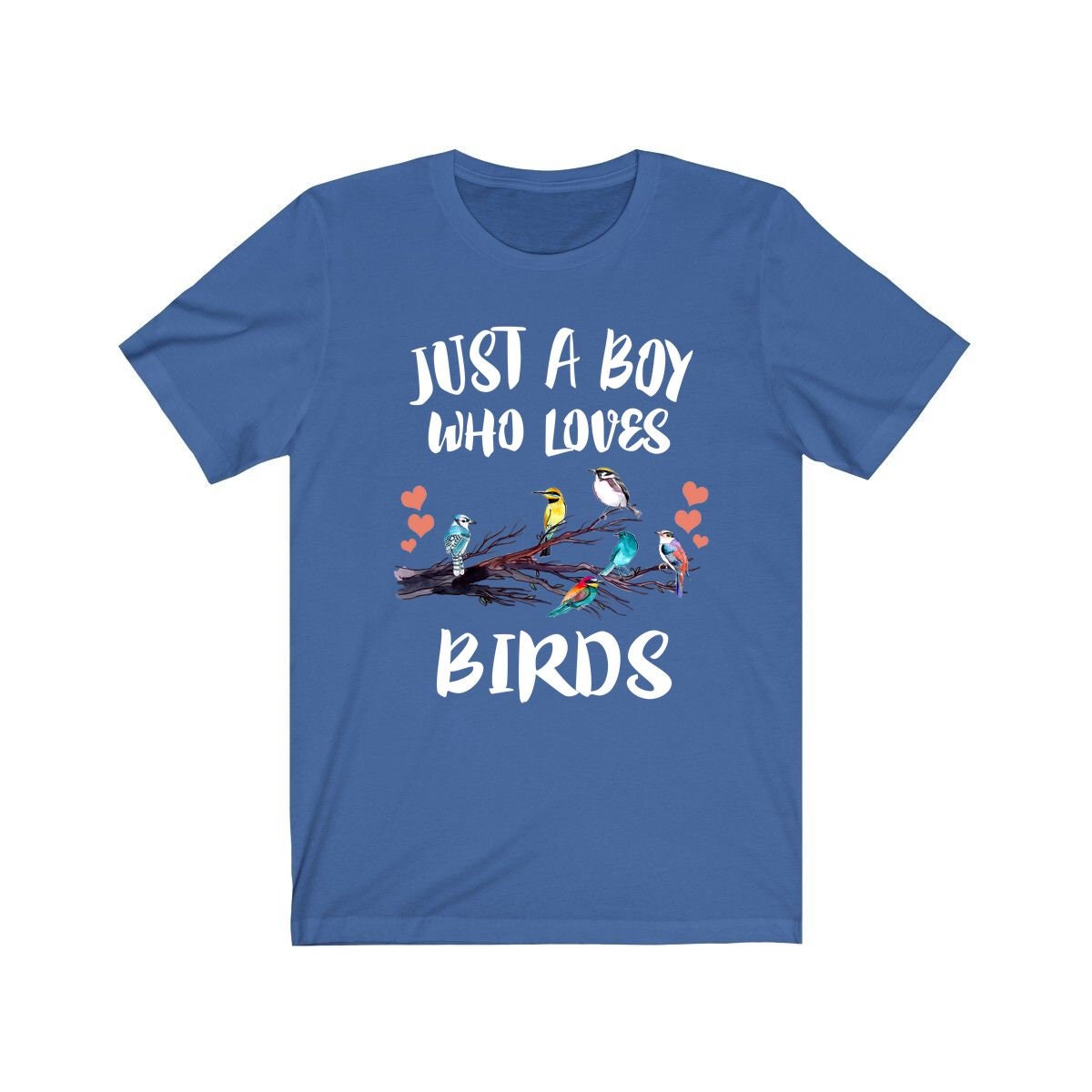Just A Boy Who Loves Birds Shirt, Bird Lover Shirt, Birding Shirt, Bird Lover Gift, Animal Adult Kids T-Shirt Image 3