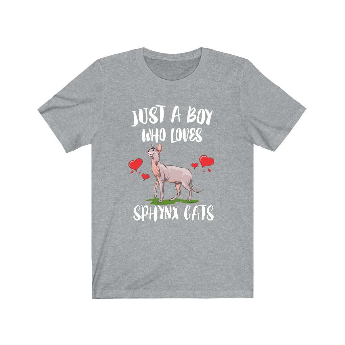 Just A Boy Who Loves Sphynx Cats Shirt, Sphynx Cat Lover Shirt, Sphynx Cat Shirt, Cat Lover Gift, Animal Adult Kids T-Shirt Image 2