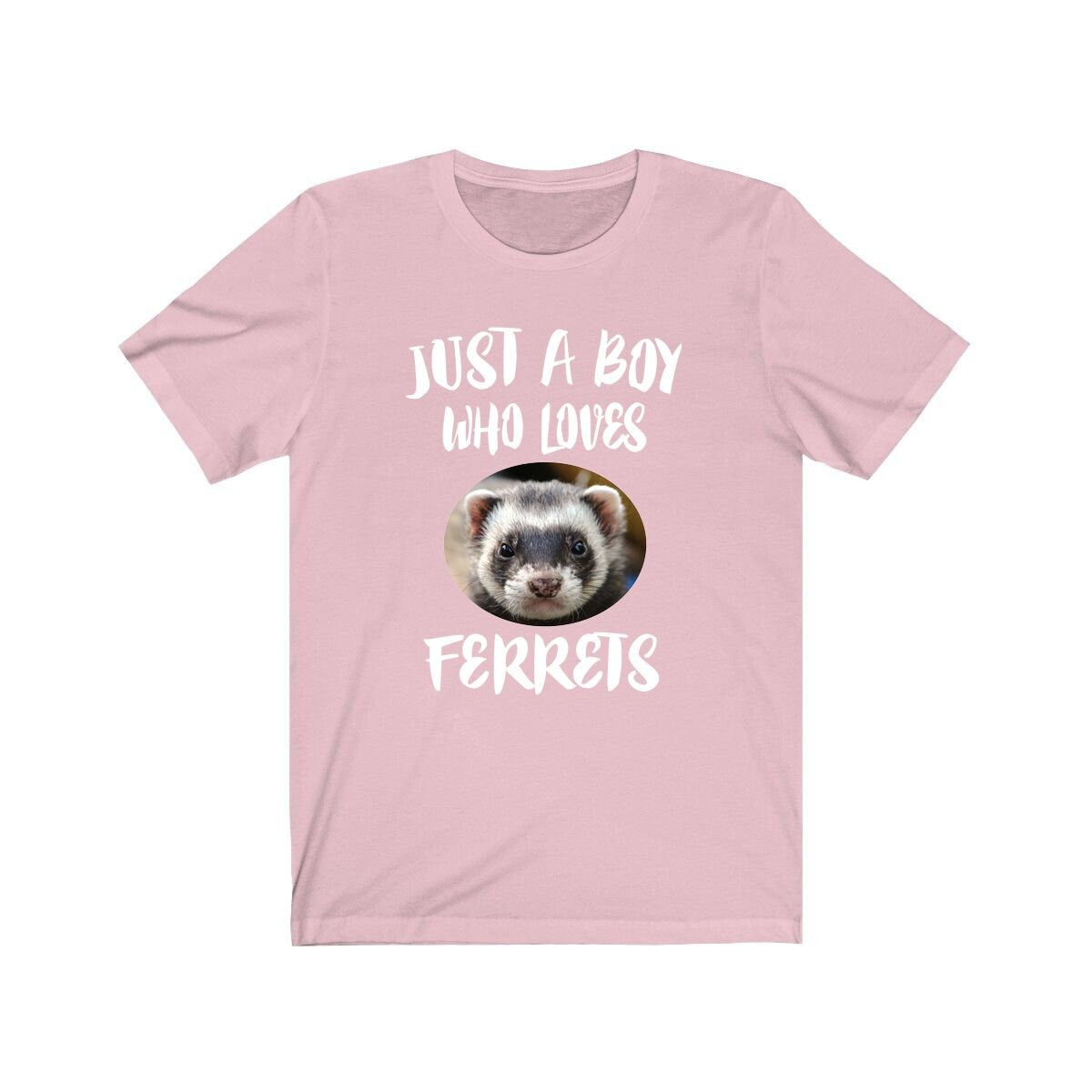 Just A Boy Who Loves Ferrets Shirt, Ferret Lover Shirt, Ferret Shirt, Ferret Lover Gift, Animal Adult Kids T-Shirt Image 4