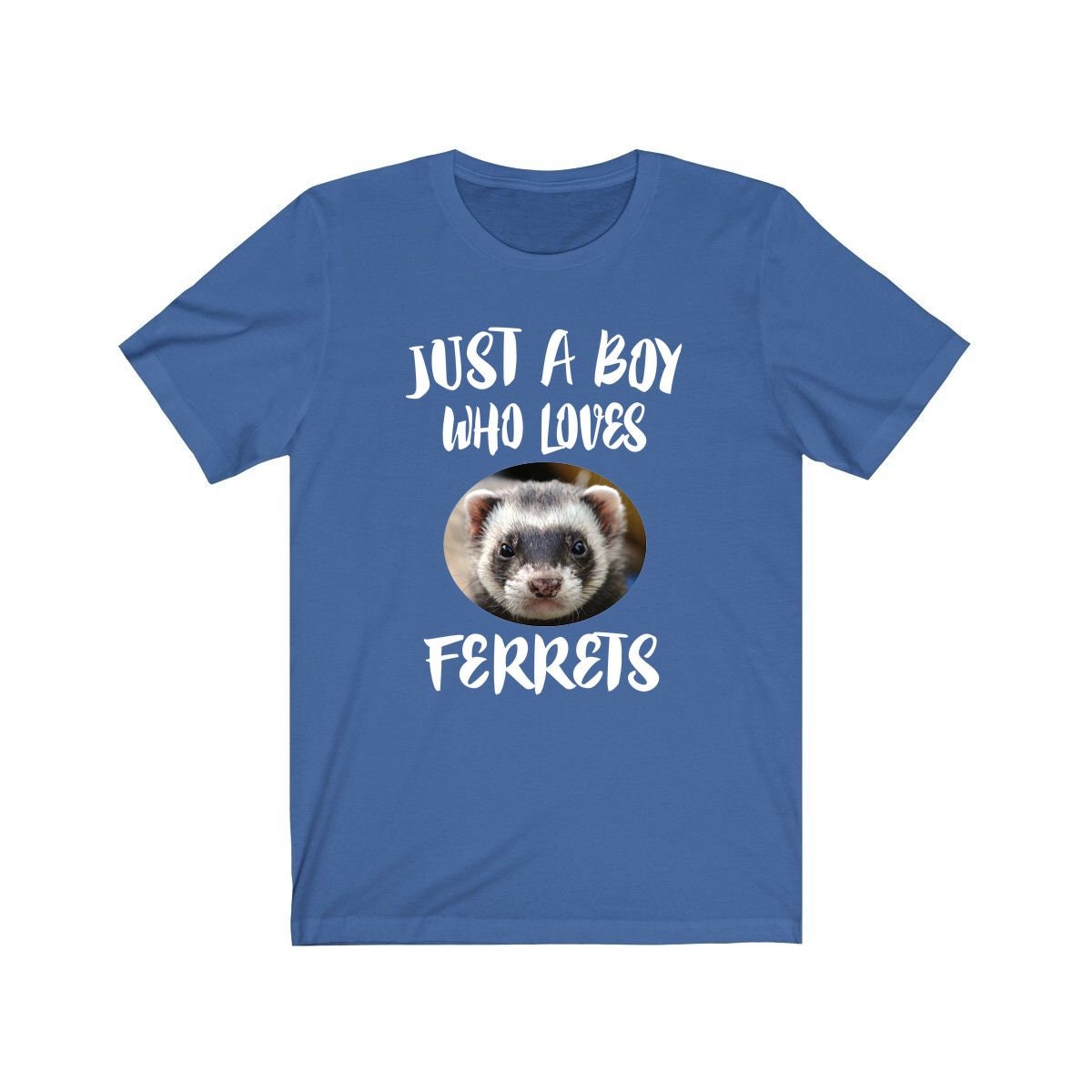 Just A Boy Who Loves Ferrets Shirt, Ferret Lover Shirt, Ferret Shirt, Ferret Lover Gift, Animal Adult Kids T-Shirt Image 3