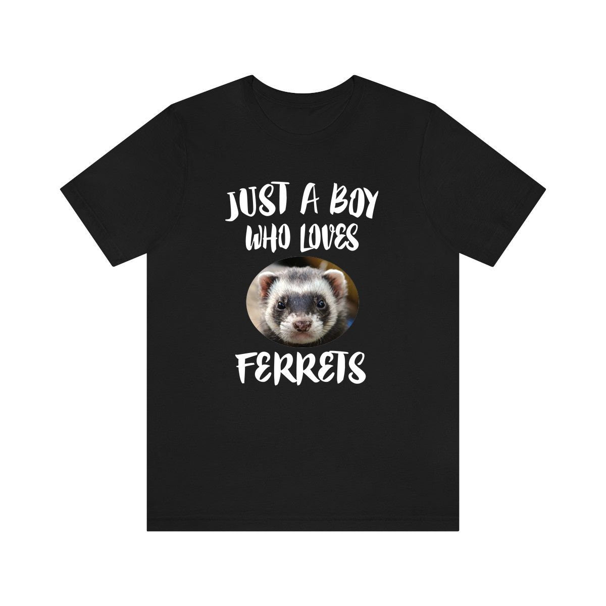 Just A Boy Who Loves Ferrets Shirt, Ferret Lover Shirt, Ferret Shirt, Ferret Lover Gift, Animal Adult Kids T-Shirt Image 1