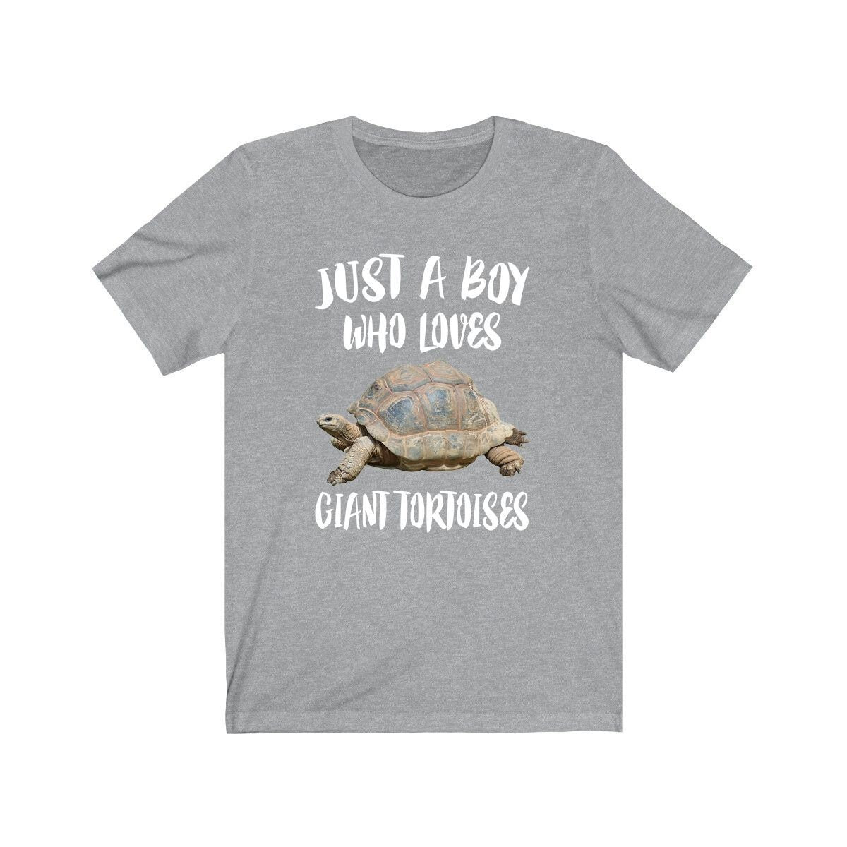 Just A Boy Who Loves Giant Tortoises Shirt, Giant Tortoise Lover Shirt, Giant Tortoise Shirt, Turtle Lover Gift, Animal Adult Kids T-Shirt Image 2