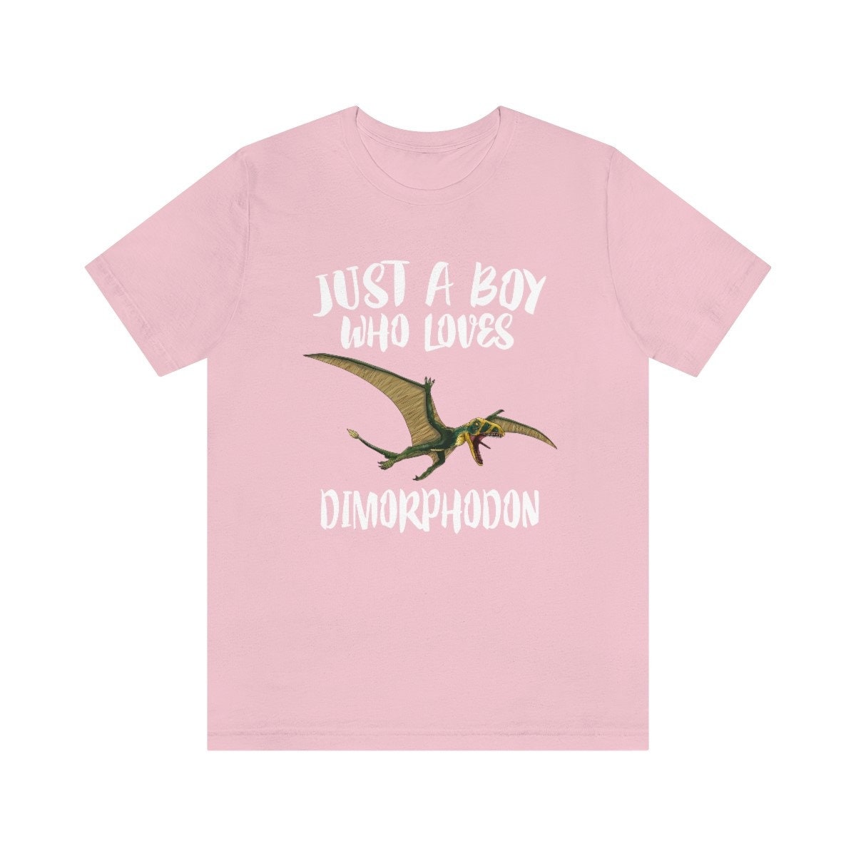 Just A Boy Who Loves Dimorphodon Dinosaur Shirt, Dimorphodon Lover Shirt, Dinosaur Shirt, Pterosaur Lover Gift, Animal Adult Kids T-Shirt Image 4