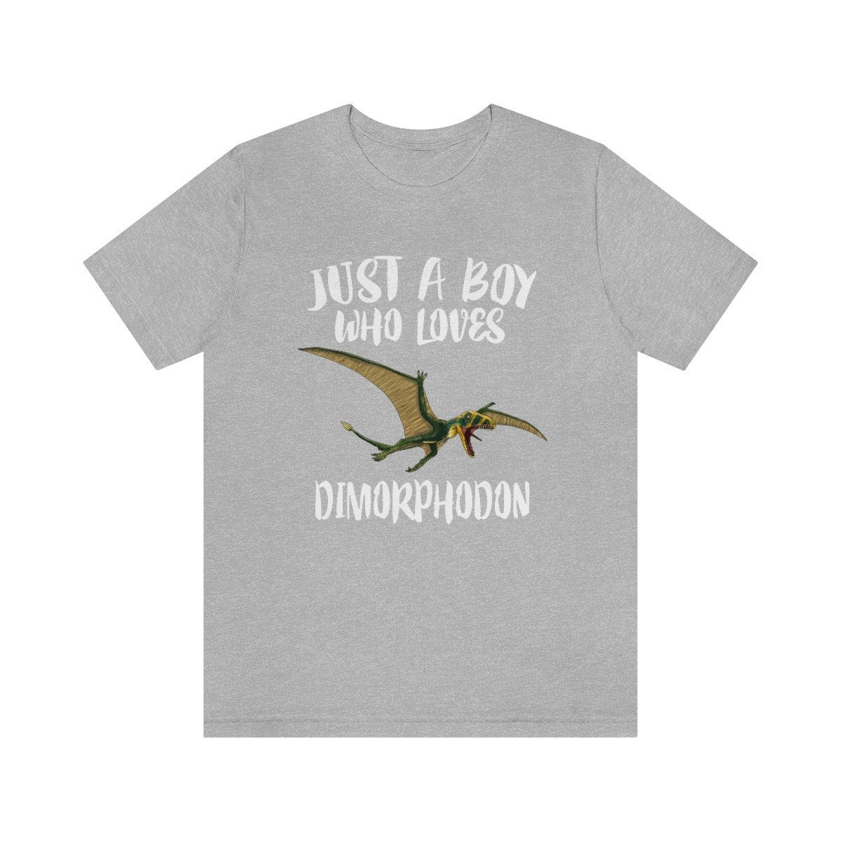 Just A Boy Who Loves Dimorphodon Dinosaur Shirt, Dimorphodon Lover Shirt, Dinosaur Shirt, Pterosaur Lover Gift, Animal Adult Kids T-Shirt Image 3