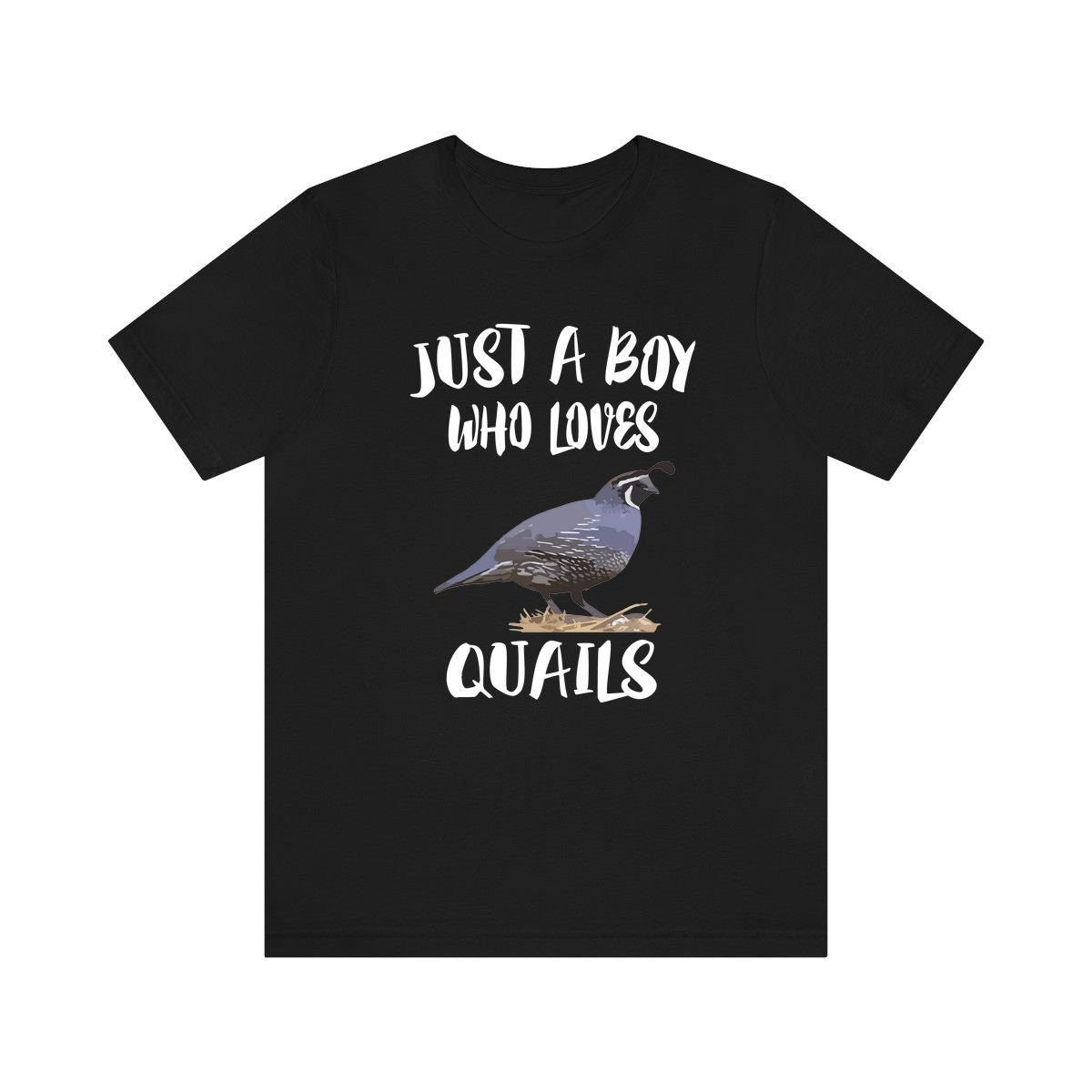 Just A Boy Who Loves Quails Shirt, Quail Lover Shirt, Quail Shirt, Birding Lover Gift, Animal Shirt Image 3
