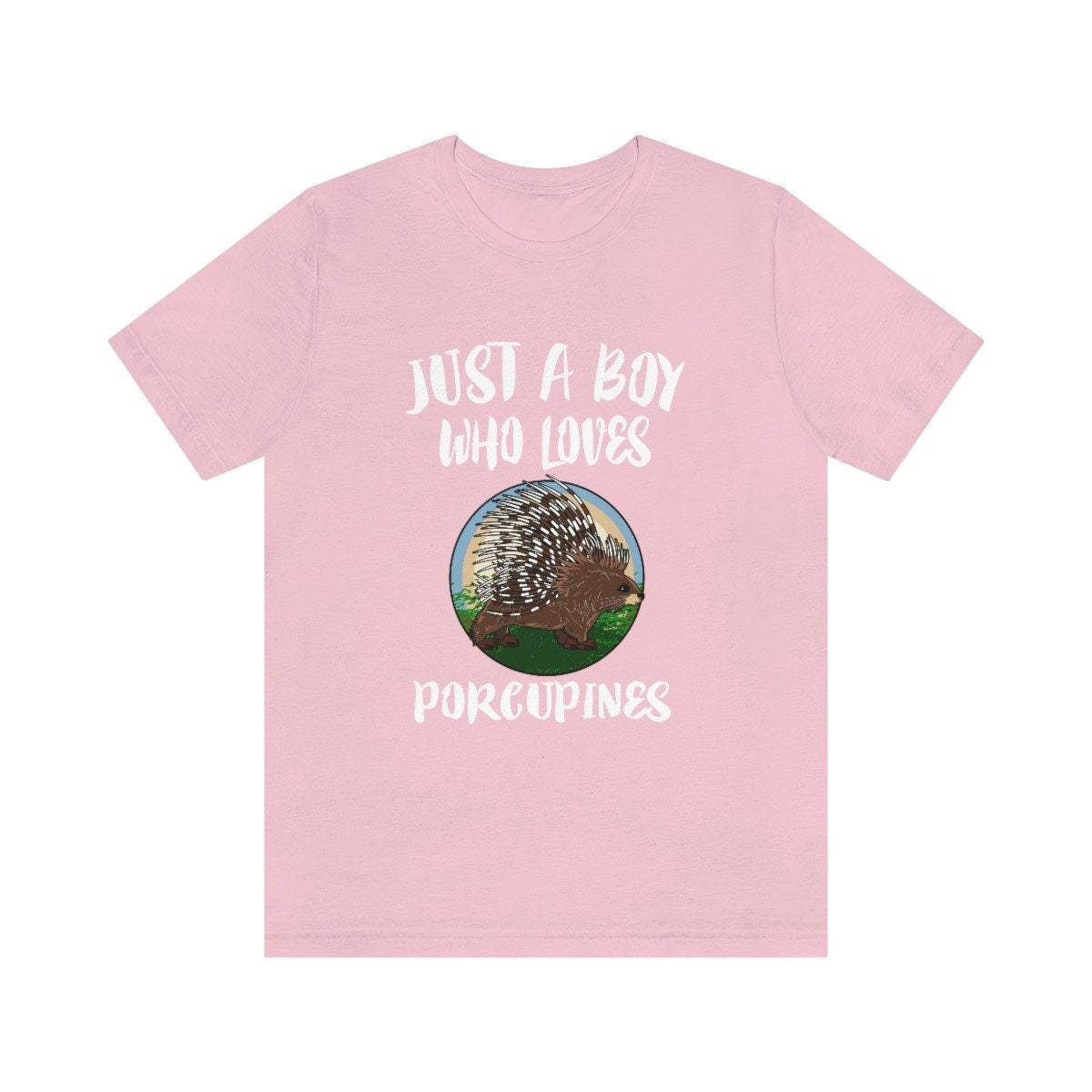 Just A Boy Who Loves Porcupines Shirt, Porcupine Lover Shirt, Porcupine Shirt, Porcupine Gift, Animal Adult Kids T-Shirt Image 3