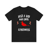 Just A Boy Who Loves Cardinals Birds Shirt, Cardinal Lover Shirt, Birding Shirt, Cardinal Lover Gift, Animal Adult Kids T-Shirt Image 1
