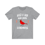 Just A Boy Who Loves Cardinals Birds Shirt, Cardinal Lover Shirt, Birding Shirt, Cardinal Lover Gift, Animal Adult Kids T-Shirt Image 3