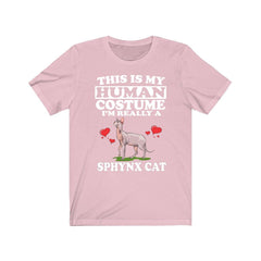 This is my human costume I am really a sphynx cat funny tee
