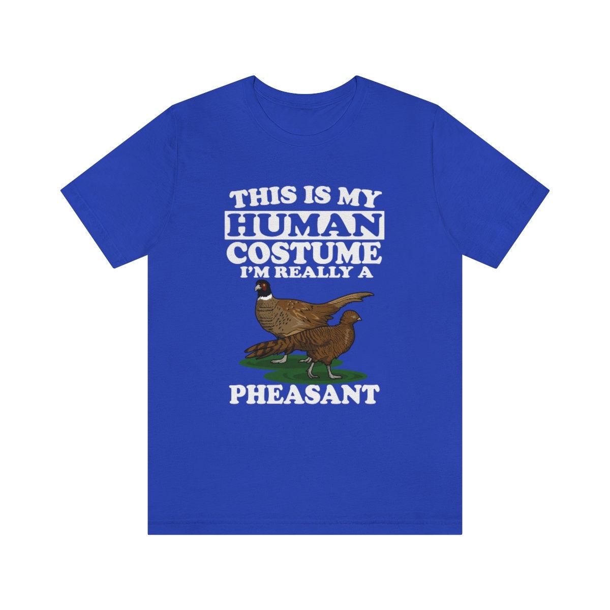 This Is My Human Costume I'm Really A Pheasant Bird Shirt, Pheasant Lover Shirt, Pheasant Shirt, Funny Pheasant Gift, Animal Adult Kids Image 4