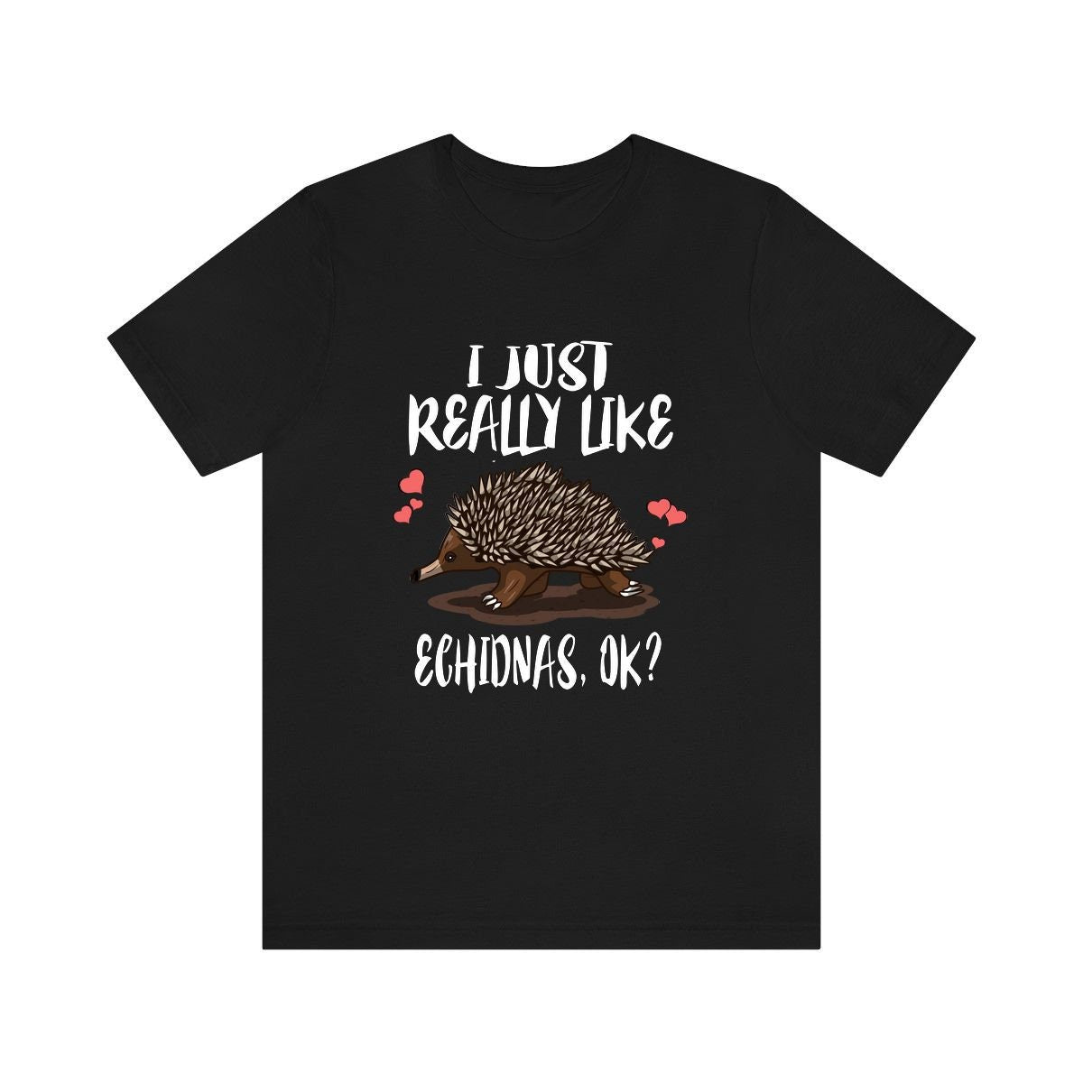 I Just Really Like Echidnas Ok Shirt, Echidna Lover Shirt, Echidna Gift, Echidna Animal Lover Adult Toddler Infant Kids Gift T-Shirt Image 2