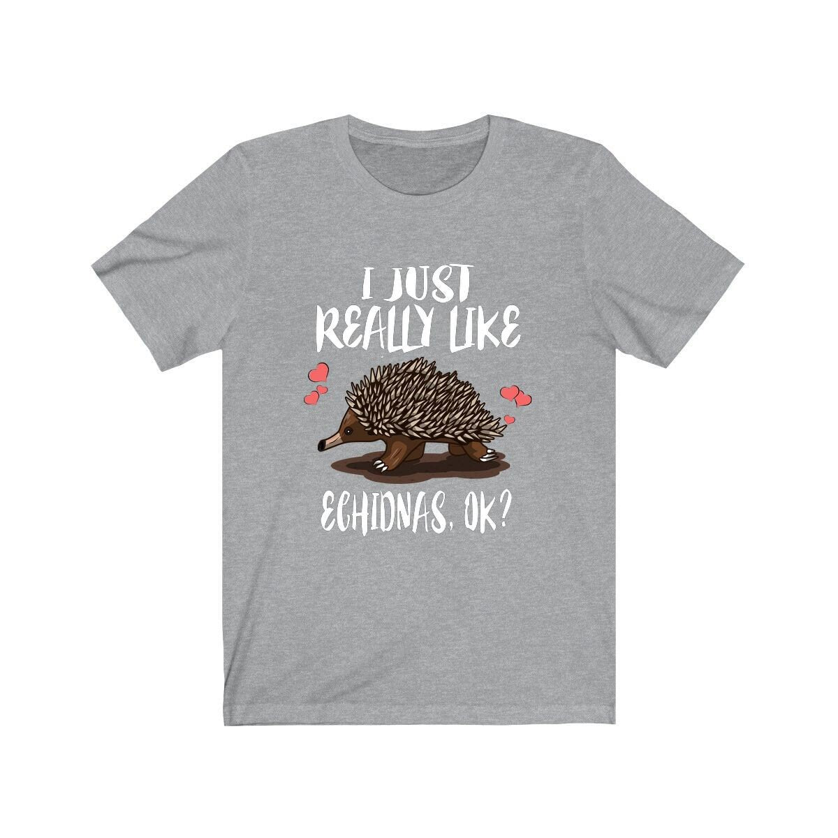 I Just Really Like Echidnas Ok Shirt, Echidna Lover Shirt, Echidna Gift, Echidna Animal Lover Adult Toddler Infant Kids Gift T-Shirt Image 1