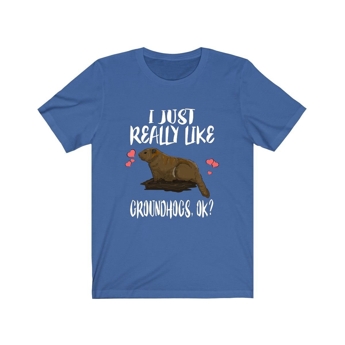 I Just Really Like Groundhogs Ok Shirt, Groundhog Lover Shirt, Groundhog Animal Lover Adult Toddler Infant Kids Gift T-Shirt Image 1