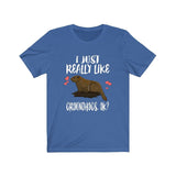 I Just Really Like Groundhogs Ok Shirt, Groundhog Lover Shirt, Groundhog Animal Lover Adult Toddler Infant Kids Gift T-Shirt Image 1
