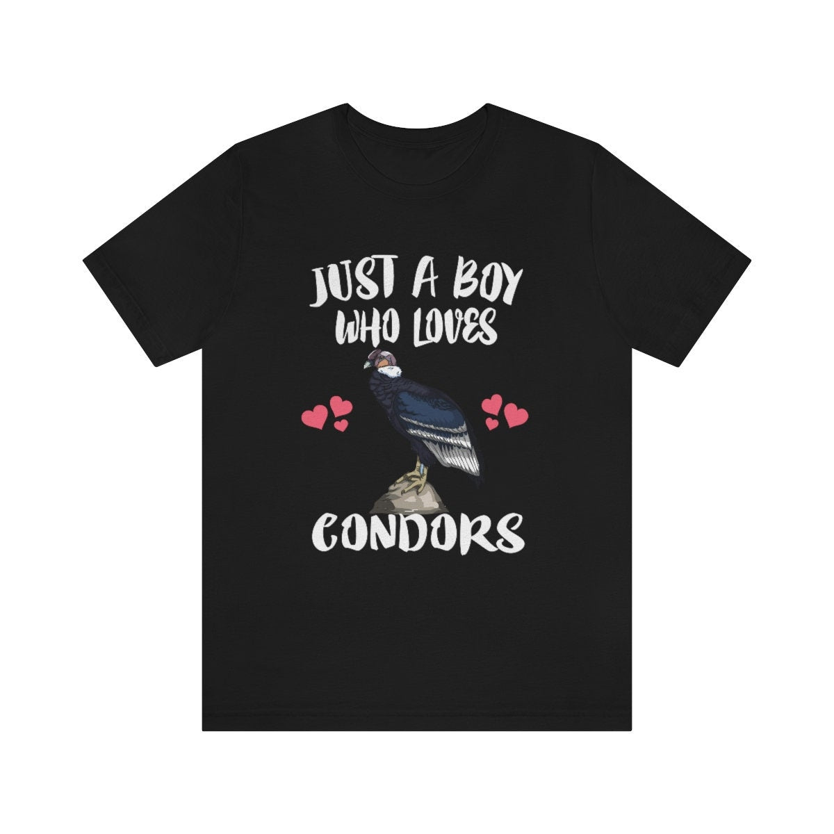 Just A Boy Who Loves Condors Birds Shirt, Condors Lover Shirt, Birding Shirt, Condors Lover Gift, Animal Adult Kids T-Shirt Image 3