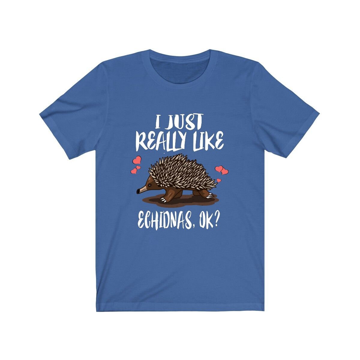 I Just Really Like Echidnas Ok Shirt, Echidna Lover Shirt, Echidna Gift, Echidna Animal Lover Adult Toddler Infant Kids Gift T-Shirt Image 3