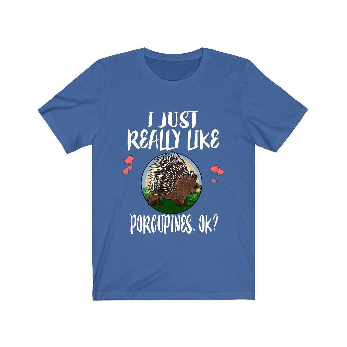 I Just Really Like Porcupines Ok Shirt, Porcupine Lover Shirt, Porcupine Shirt, Porcupine Gift, Animal Adult Kids T-Shirt Image 1