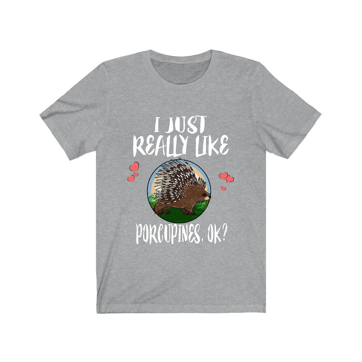 I Just Really Like Porcupines Ok Shirt, Porcupine Lover Shirt, Porcupine Shirt, Porcupine Gift, Animal Adult Kids T-Shirt Image 3
