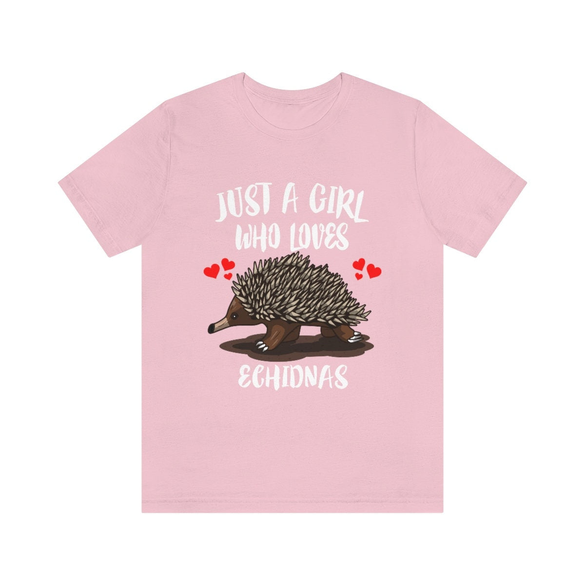 Just A Girl Who Loves Echidnas Shirt, Echidna Lover Gift, Echidna Shirt, Animal Lover Adult Toddler Infant Kids Gift T-Shirt Image 3