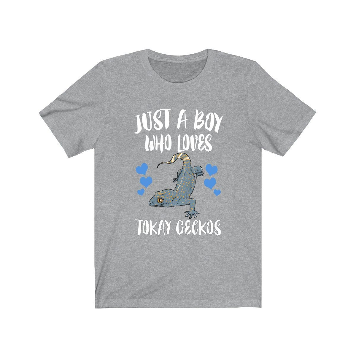 Just A Boy Who Loves Tokay Geckos Lizards Shirt, Gecko Lover Shirt, Tokay Gecko Gift, Lizard Shirt, Adult Kids Animal T-Shirt Image 1