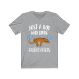 Just A Boy Who Loves Crested Geckos Lizards Shirt, Gecko Lover Shirt, Crested Gecko Gift, Pet Lizard Shirt, Adult Kids Animal T-Shirt Image 3