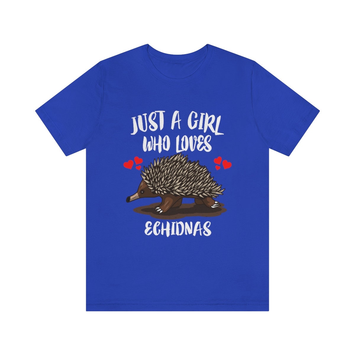 Just A Girl Who Loves Echidnas Shirt, Echidna Lover Gift, Echidna Shirt, Animal Lover Adult Toddler Infant Kids Gift T-Shirt Image 4