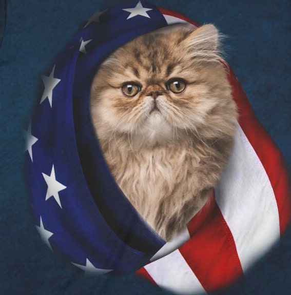 American USA Flag Cat Kitty T-Shirt, Cute Cat Shirt, Cute Kitty Lover Shirt, USA Flag Patriot Gift, Boy Girl Shirt, Animal Adult Kids Shirt Image 2