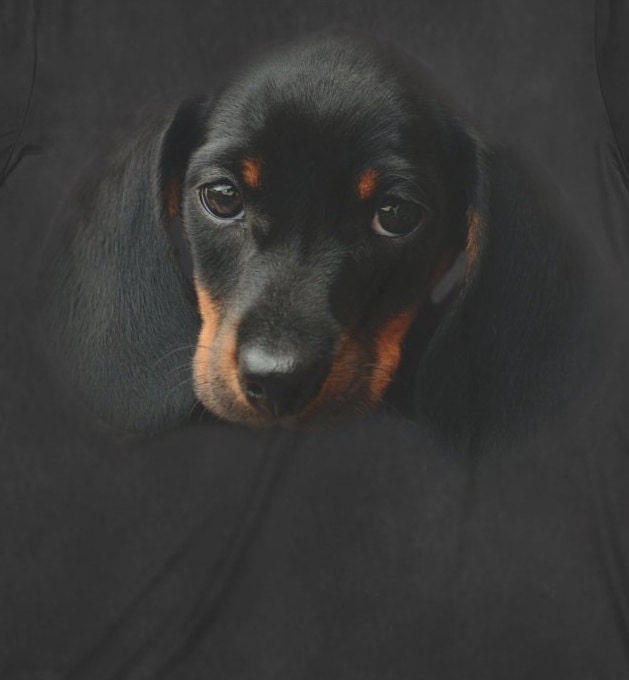 Dachshund Dog Puppy T-Shirt, Cute Dog Shirt, Dachshund Puppy, Dog Owner Gift, Boy Girl Puppy Shirt, Animal Adult Kids T-Shirt Image 2