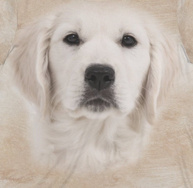 Golden Retriever T-Shirt, Golden Retriever Owner Shirt, Dog Lover Shirt, Retriever Dog Gift, Boy Girl Dog Shirt, Animal Adult Kids T-Shirt Image 2